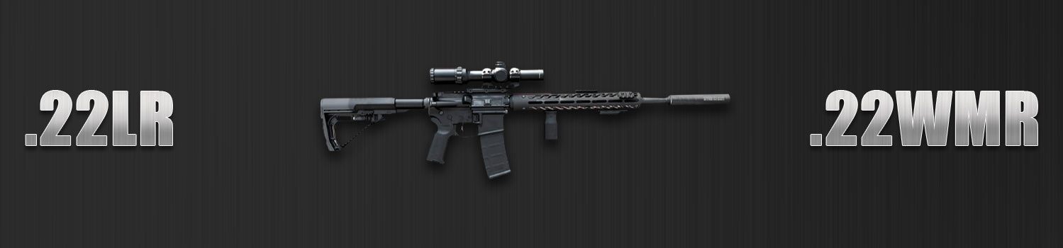 .22LR / .22WMR