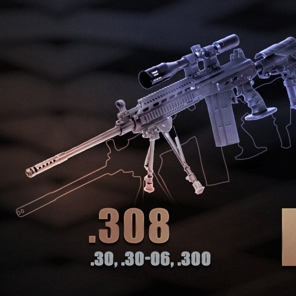 .308 (.30, .30-06, .300)